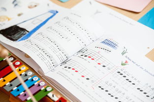 华体会app功能-中小学体育课安全教育实施现状研究，体育课堂安全背景下的小学体育课现状